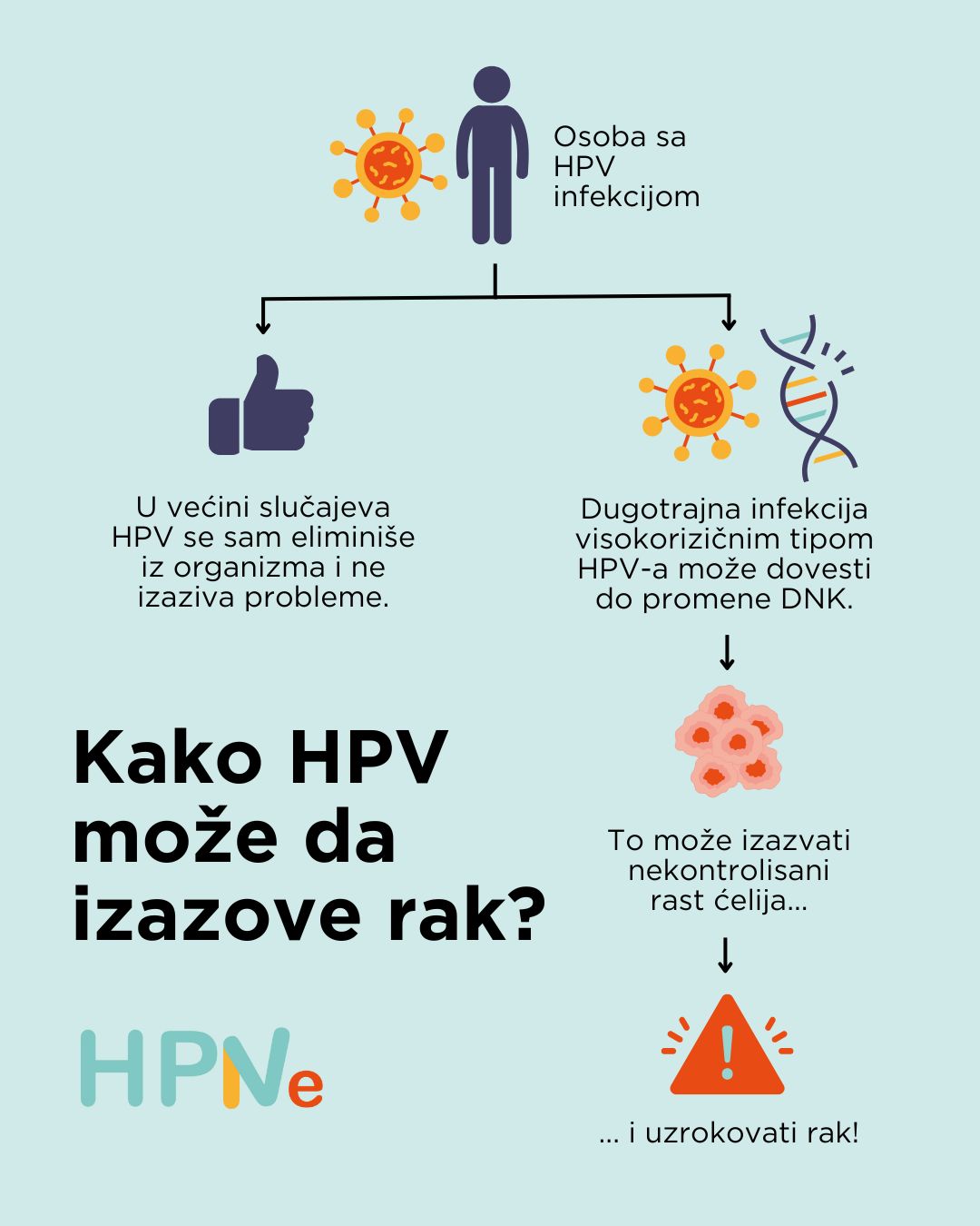 HPV infekcija