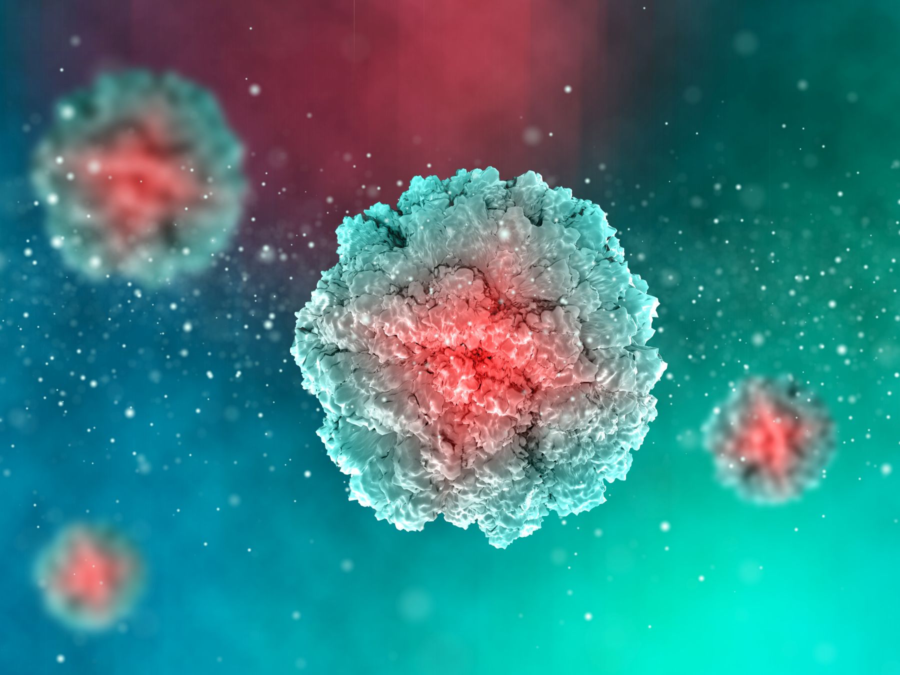 o HPV infekciji